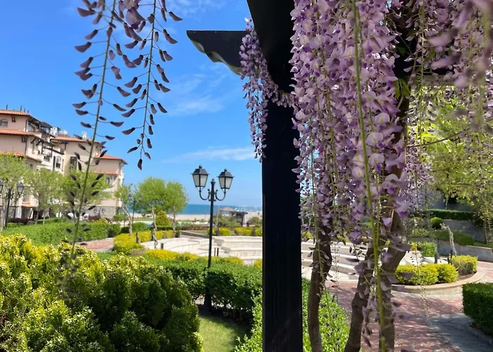 Zen - Oasis Club * 洛泽内茨