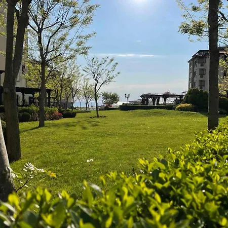 Zen - Oasis Club Lozenets