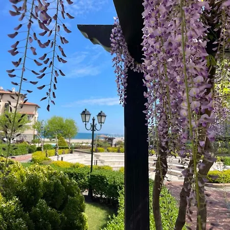 Zen - Oasis Club * Lozenets